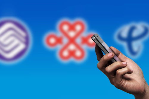 頭條 中國日報網