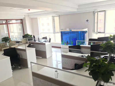 北京博融泰普惠信息咨詢